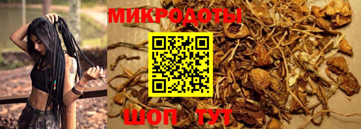 Югорск  Псилоцибиновые грибы MAGIC MUSHROOMS  Вход с VPN 